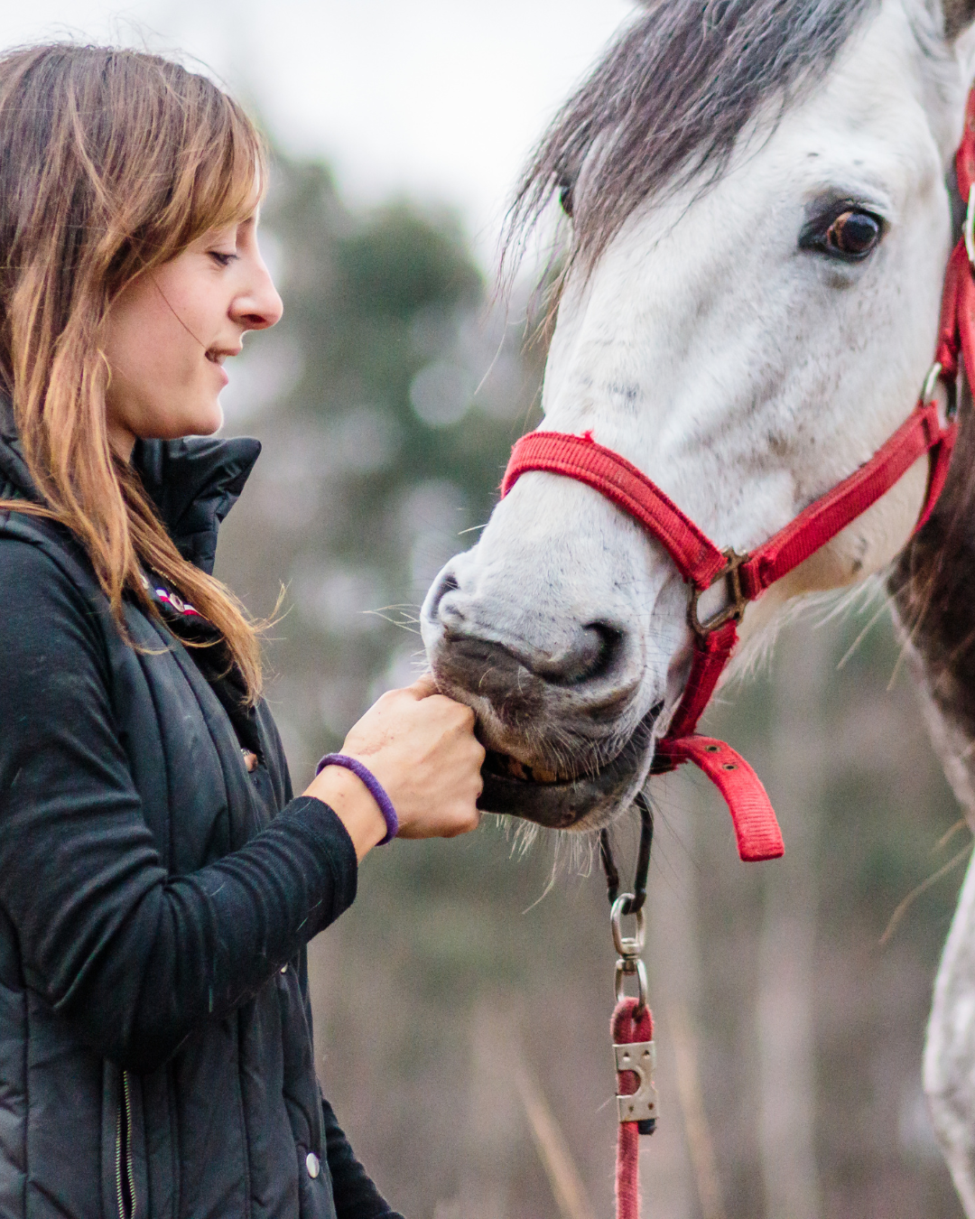 Noah Reed — Equitation Coach