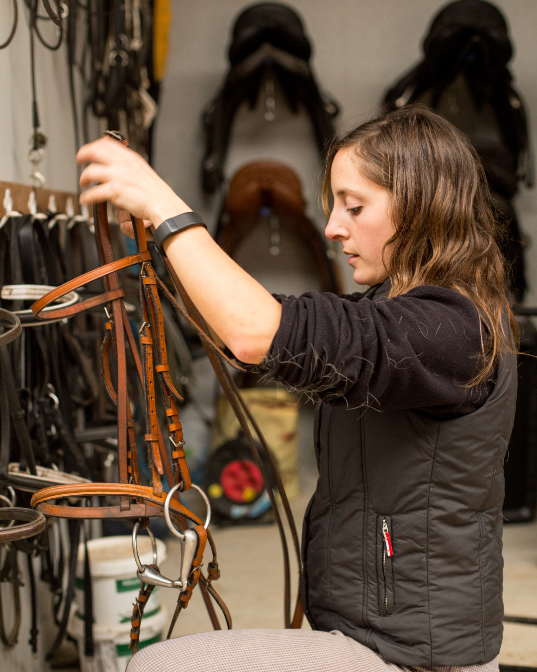 Ethan Cole — Show Jumper