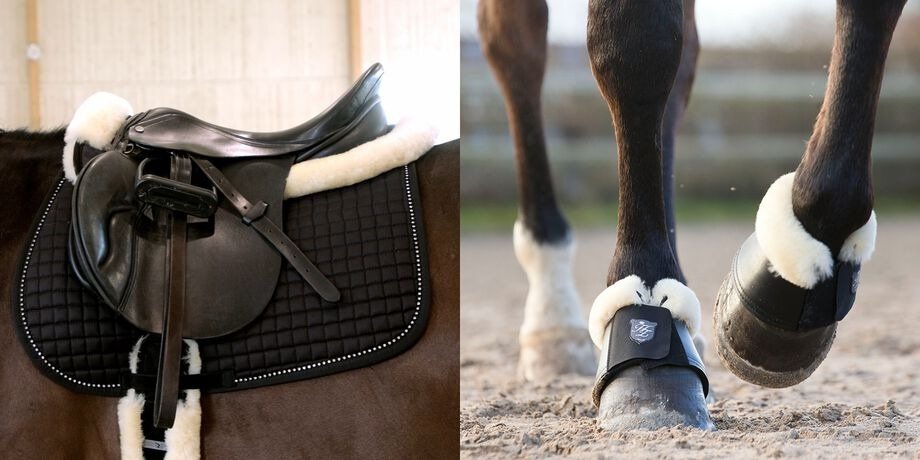 Noble Stride — Sheepskin Sale Banner